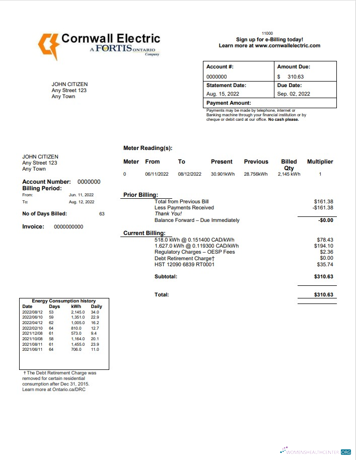 download download USA Cornwall Electric utility bill template in Word and PDF format PDF template PDF template